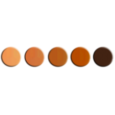 Cream Concealer Palette  Dark tones